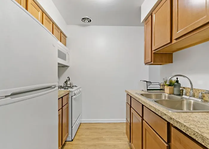 Apartamento Stunning 1br At Center Of Lakeview - Oakdale 211 Chicago