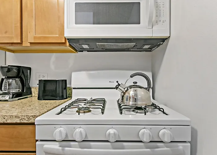 Apartamento Stunning 1br At Center Of Lakeview - Oakdale 211 Chicago